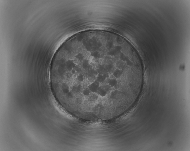 X0000113550891200910021527