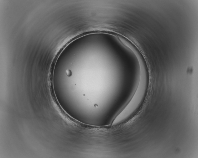 X0000113550893200910021527