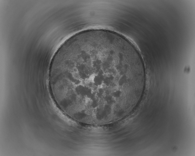 X0000113550895200910021527