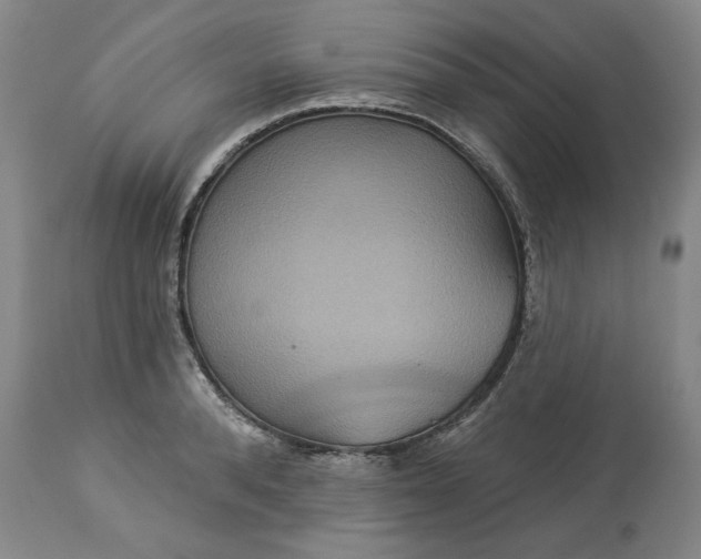 X0000113550896200910021527