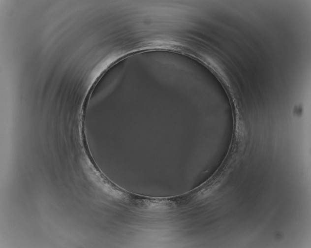 X0000113550899200910021527