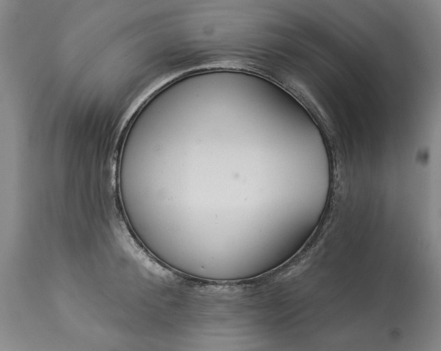 X0000113550900200910021527