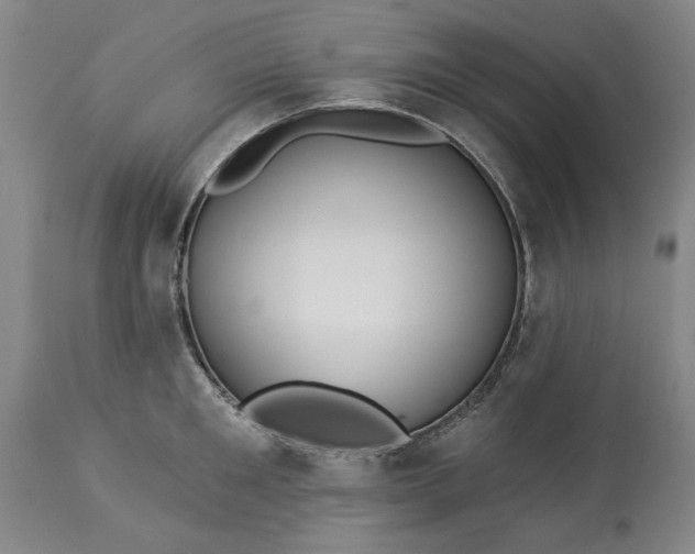 X0000113550901200910021527