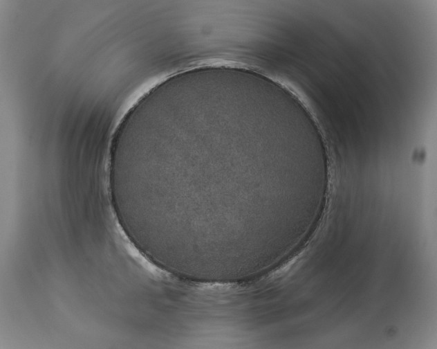 X0000113550902200910021527