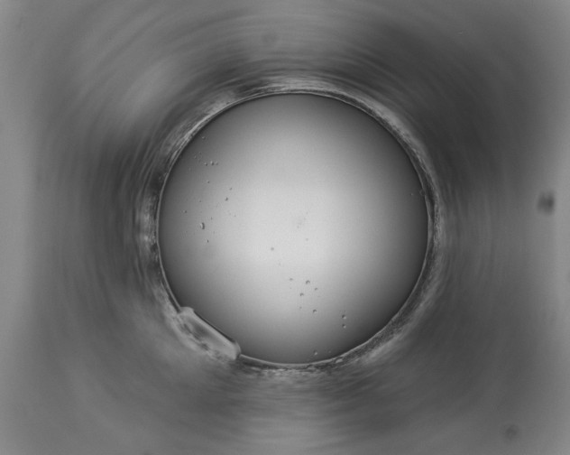 X0000113550905200910021527