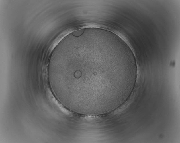 X0000113550906200910021527