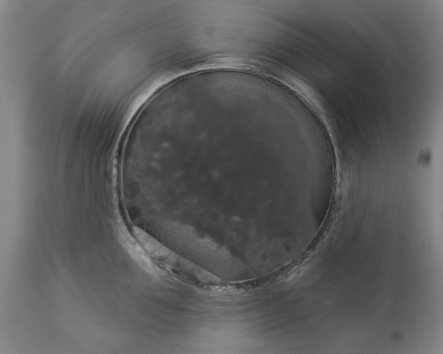 X0000113550907200910021527