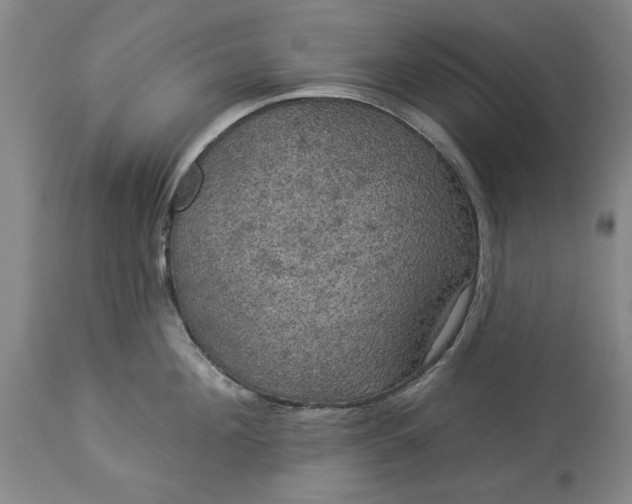 X0000113550908200910021527