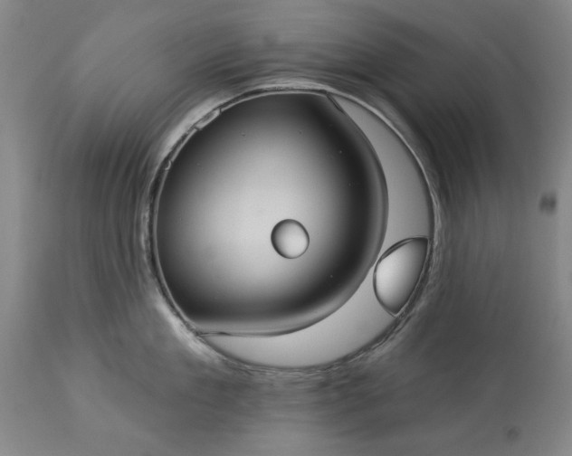 X0000113550909200910021527