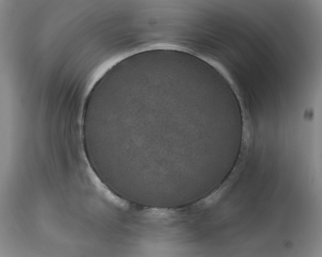 X0000113550910200910021527