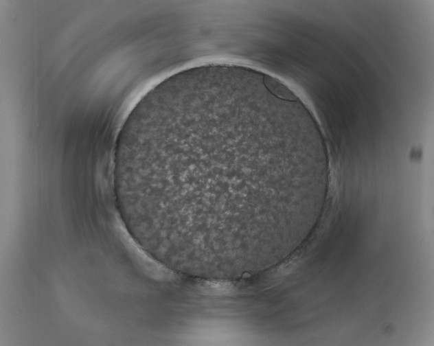 X0000113550911200910021527