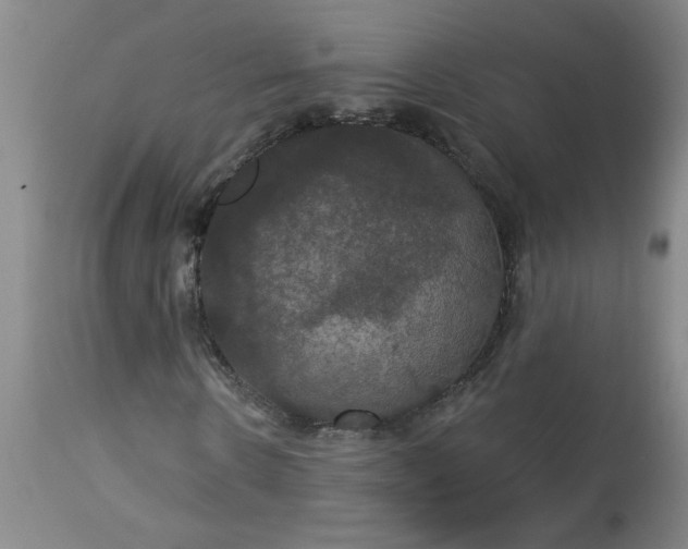 X0000113550914200910021526