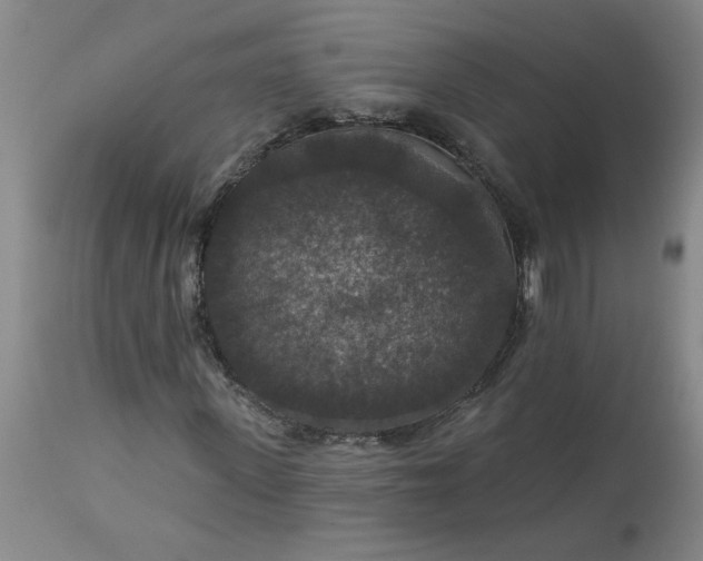 X0000113550915200910021526