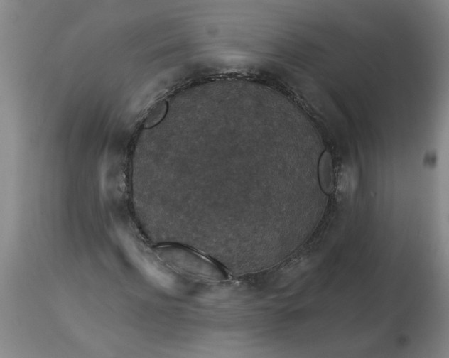 X0000113550916200910021526