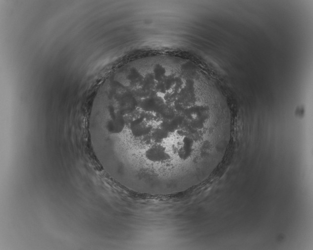 X0000113550917200910021526