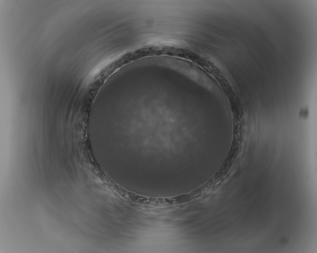 X0000113550919200910021526