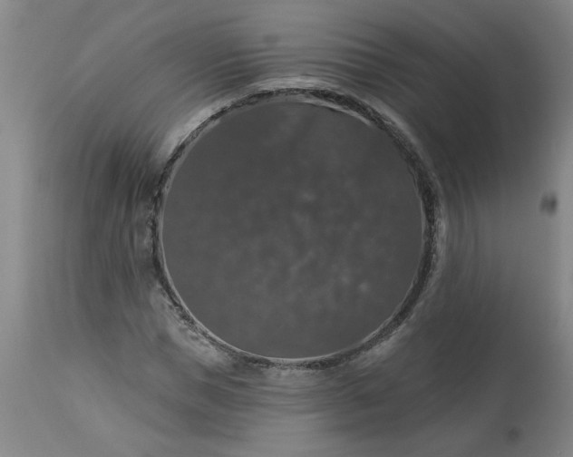 X0000113550921200910021527