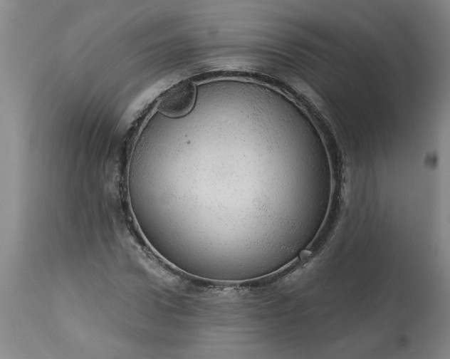 X0000113550922200910021527