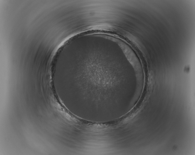 X0000113550923200910021527