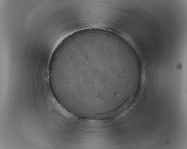 X0000113550924200910021527