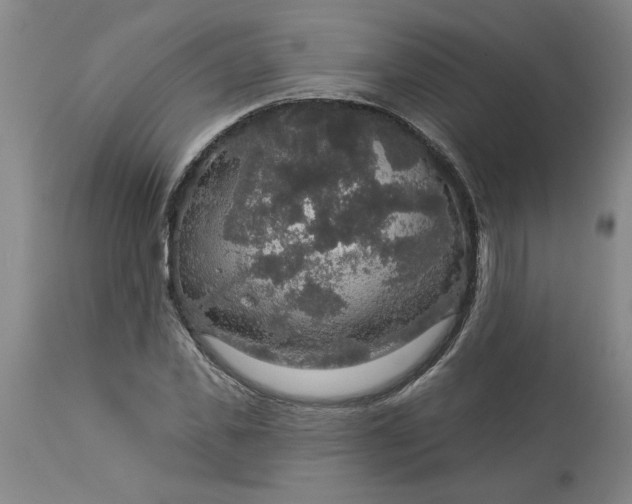 X0000113550925200910021527