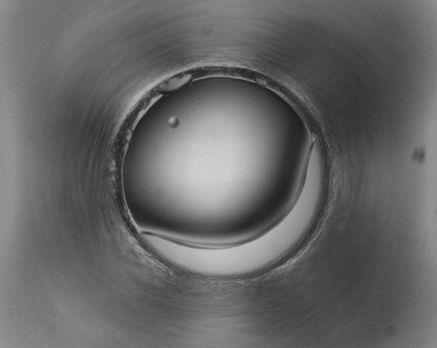 X0000113550926200910021527