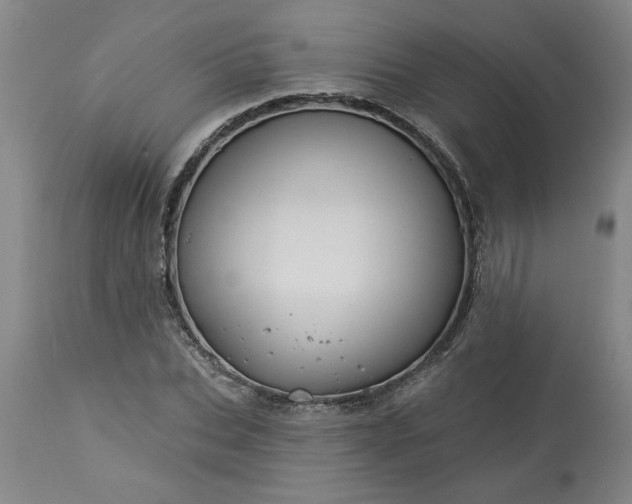 X0000113550927200910021527