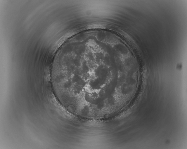 X0000113550929200910021527