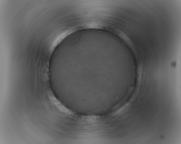 X0000113550930200910021527