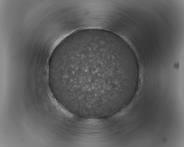 X0000113550933200910021527