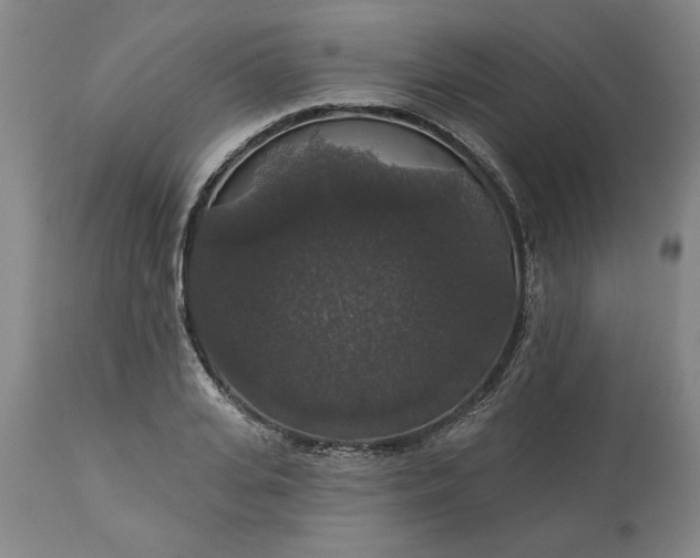 X0000113550935200910021527