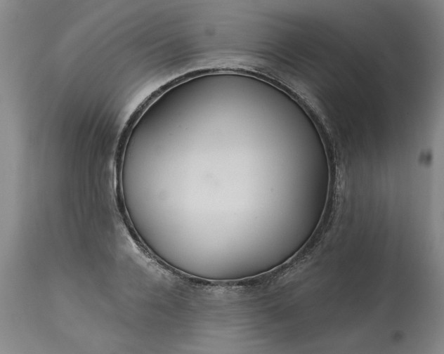 X0000113550936200910021527