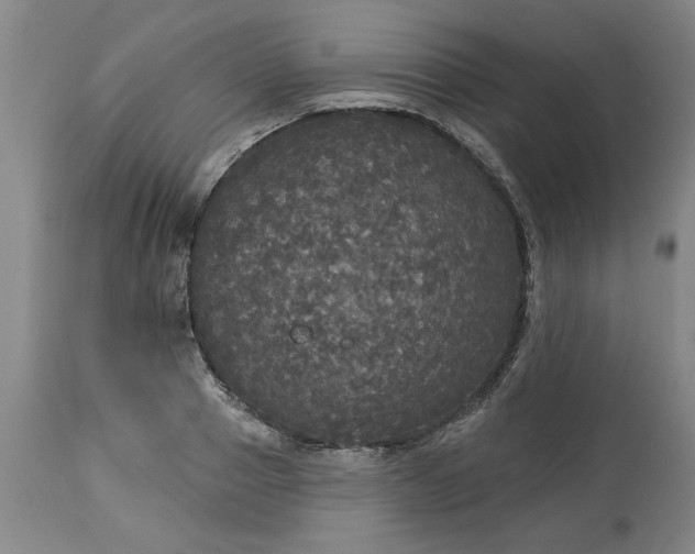 X0000113550937200910021527