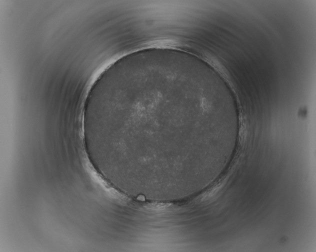 X0000113550939200910021527