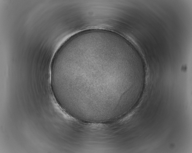 X0000113550940200910021527