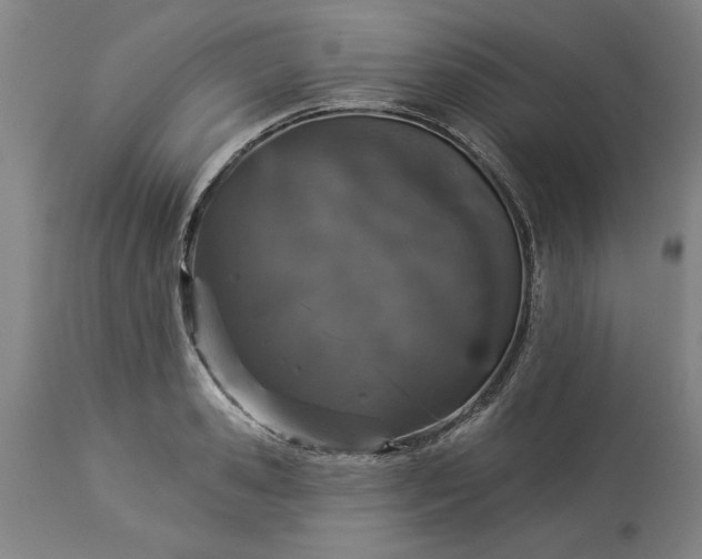 X0000113550941200910021527