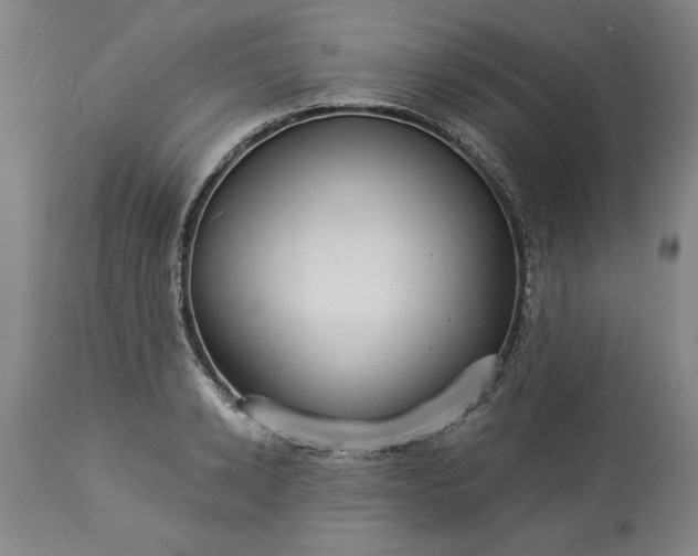 X0000113550942200910021527