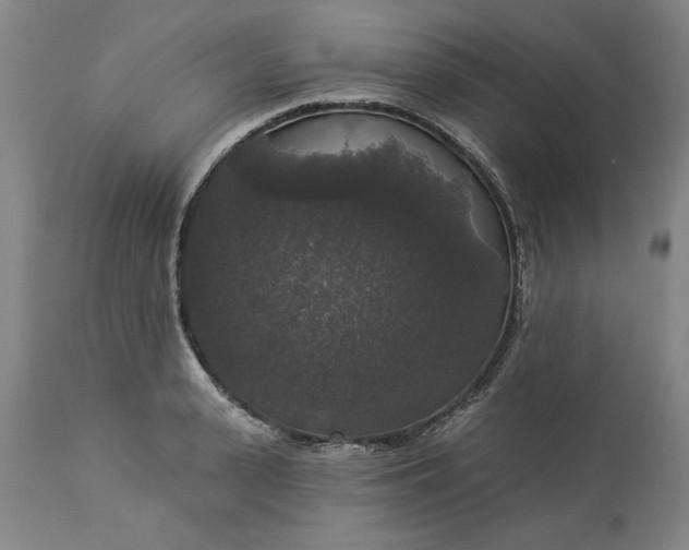 X0000113550943200910021527