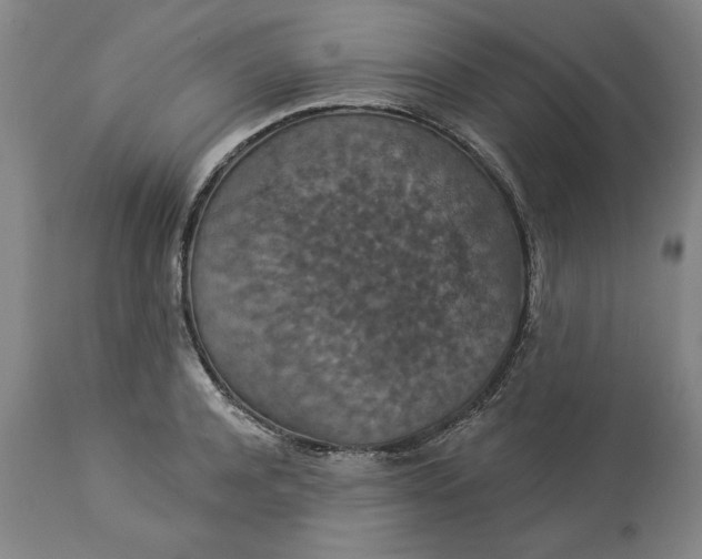 X0000113550944200910021527