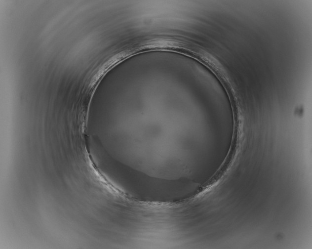 X0000113550945200910021527