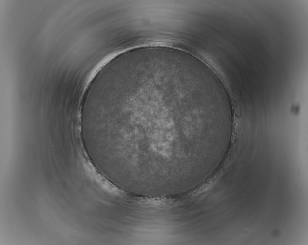 X0000113550948200910021527