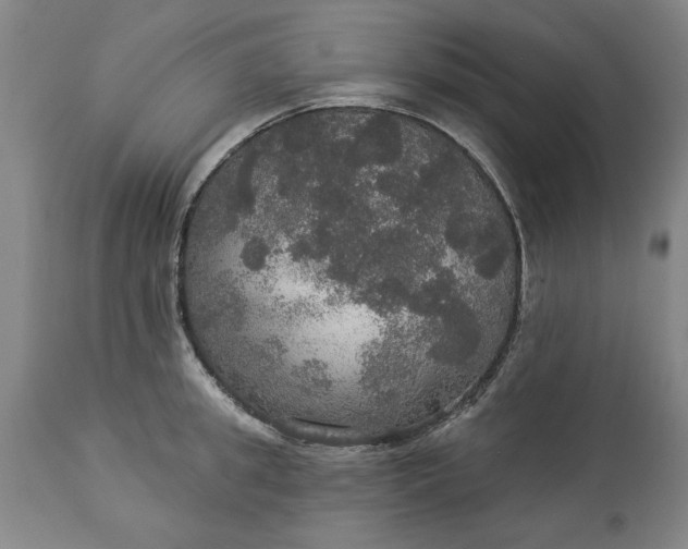 X0000113550949200910021527