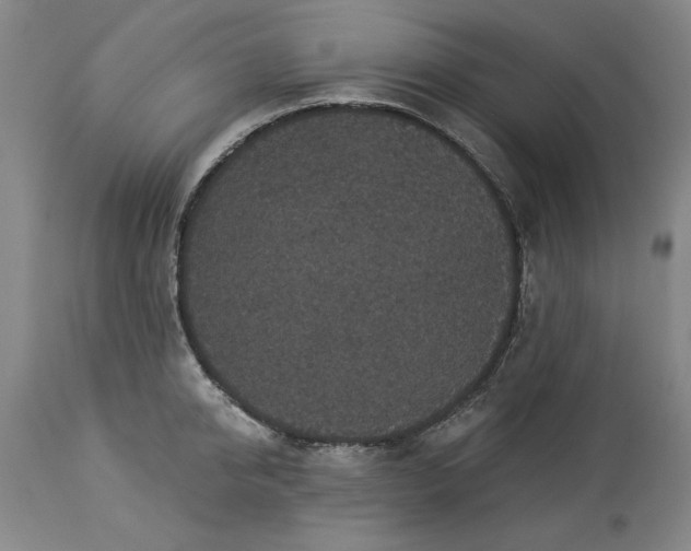 X0000113550950200910021527