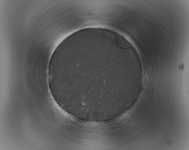 X0000113550951200910021527