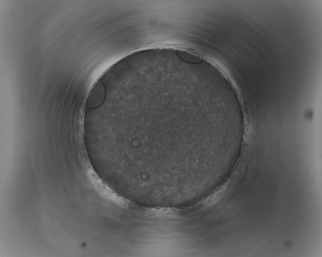 X0000113550952200910021527