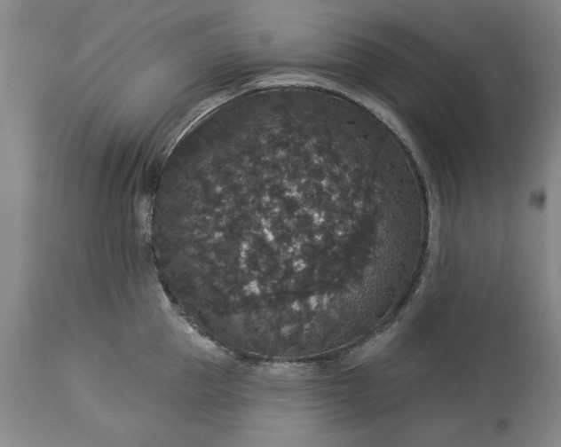 X0000113550953200910021527