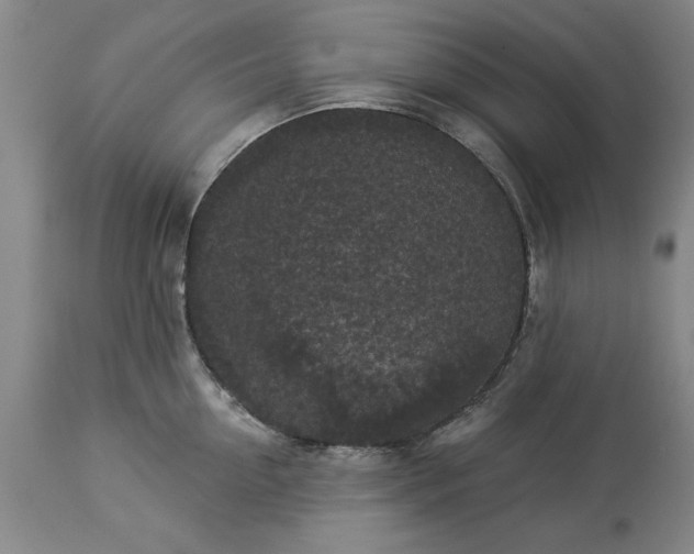 X0000113550954200910021527