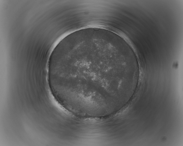 X0000113550955200910021527