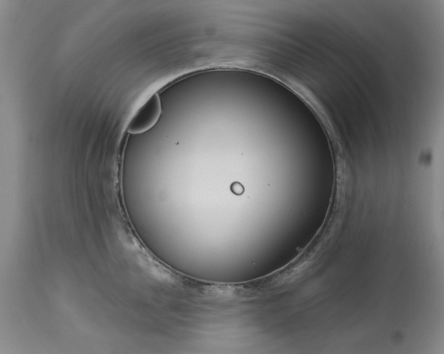 X0000113550956200910021527