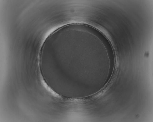 X0000113550958200910021527